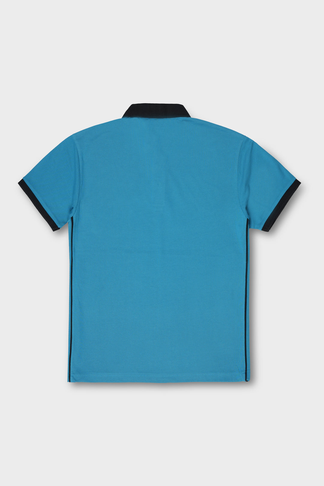 Aston Martin Polo (Black Collar)